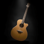 Baton Rouge AR21C/ACE