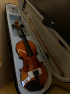 Stagg VN-1/2