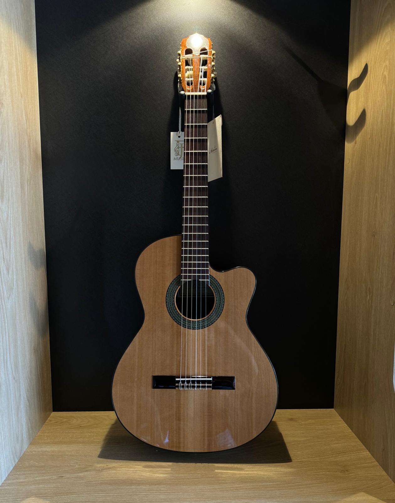 אלטמירה N200CE